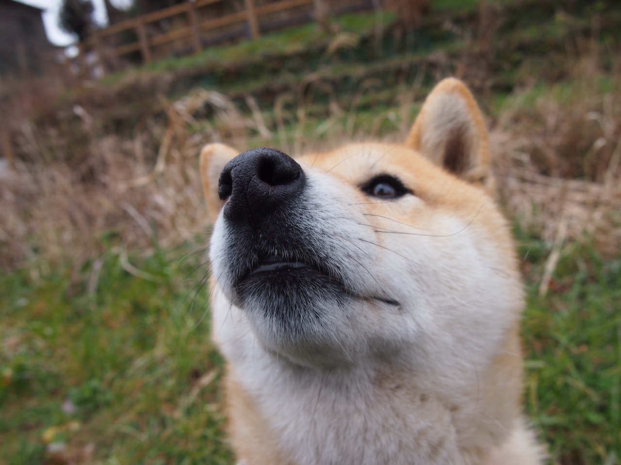 “德甲标志性比赛,场面火爆引人注目”,德甲的标志那个人是谁